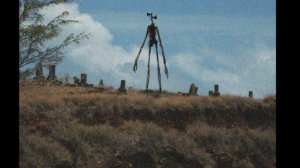 Сирена | Звуки | СИРЕНОГОЛОВОГО