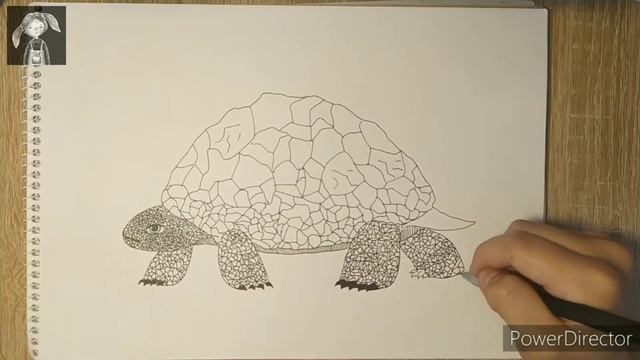 Черепаха в стиле графики смотреть онлайн