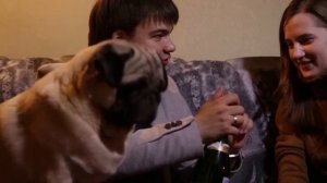 Рок Острова-Лишь только солнце