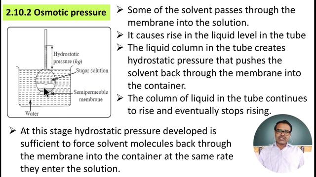 12th | Solutions L-9 | Osmotic Pressure Colligative Property
