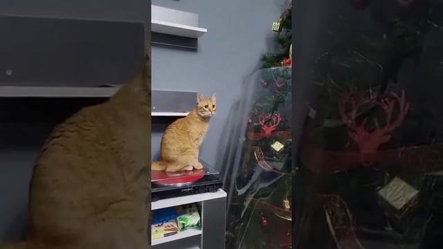 Хочу туда смотреть онлайн