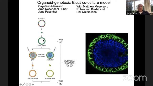 AGD 2020 - Session 3: Modeling Hereditary And Malignant Disease In Human Organoids By Hans Clevers