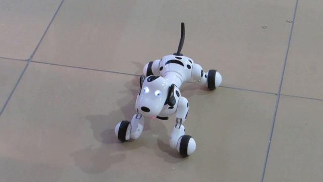 Смарт-дог - собака-робот в магазине Filament в Бердске смотреть онлайн