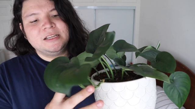 MAY Plant Favorites смотреть онлайн