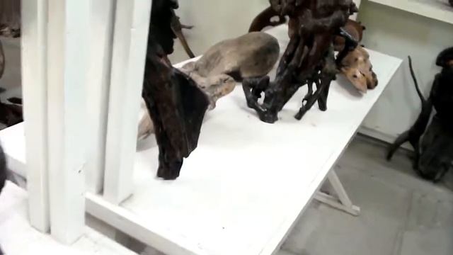 Интересные места Краснодарского края. Музей коряг. Джубга. Черное море. смотреть онлайн