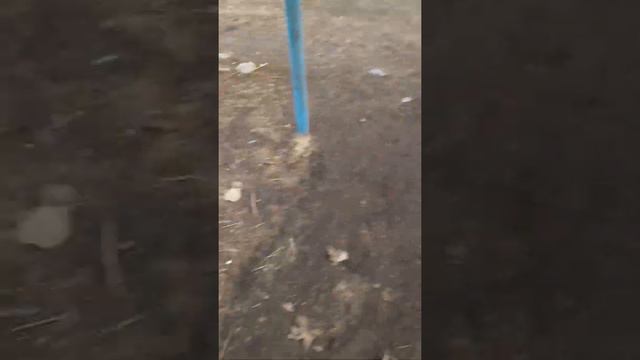 Я , Ника и Ярина пошли гулять , нам было очеееень весело! смотреть онлайн