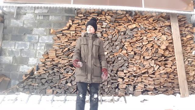 Учим собаку приносить игрушки. Дрессировка собак смотреть онлайн