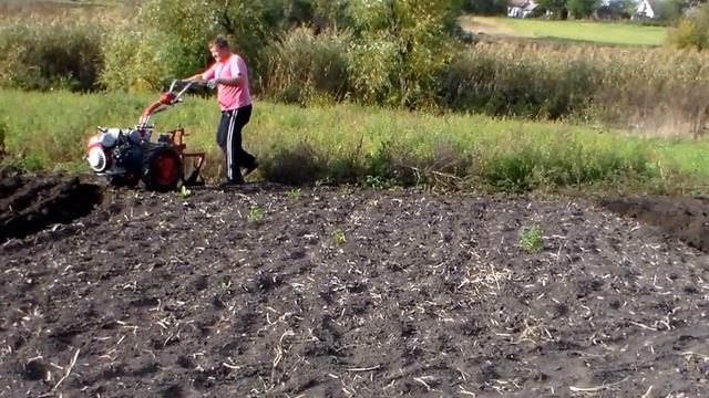 Осенняя вспашка огорода мотоблоком МОТОР СИЧ смотреть онлайн