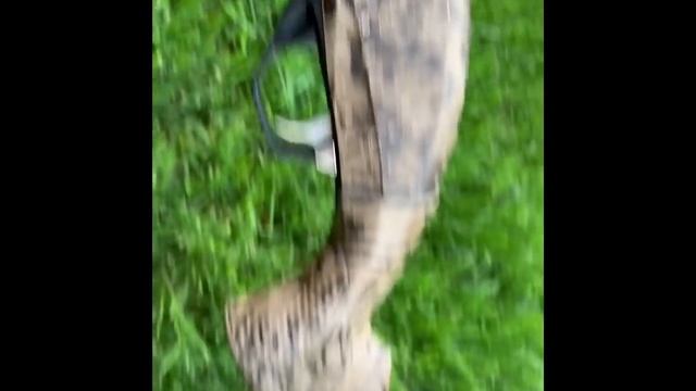 Ружье МР-155 Продажа. смотреть онлайн