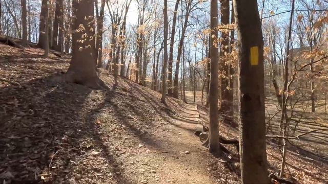 A walk in the forest #2 смотреть онлайн