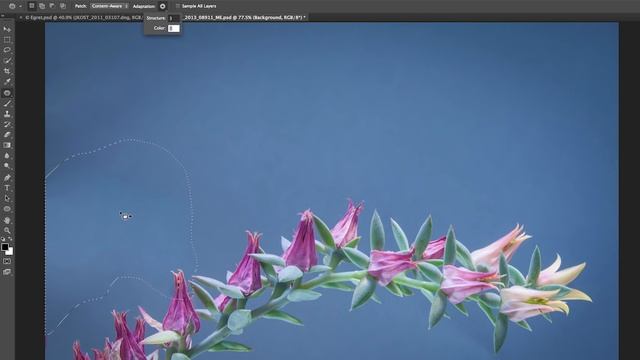 How to Fix Photos with Photoshop's Content-Aware | Adobe Creative Cloud смотреть онлайн