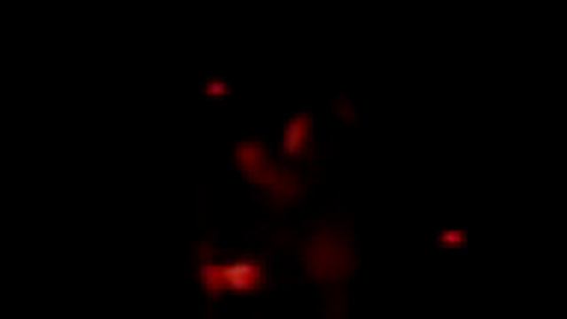 Mixalis Papamatthaiou 3 - Buzios Live(by tolis) смотреть онлайн