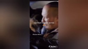 грустные моменты из фильма пёс из тиктока