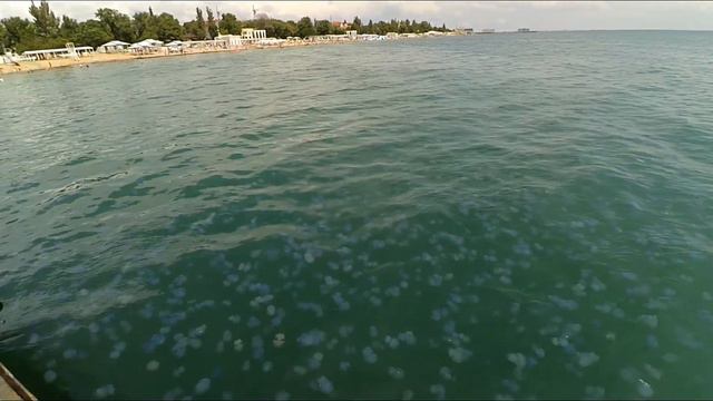 Нашествие медуз в Евпатории смотреть онлайн