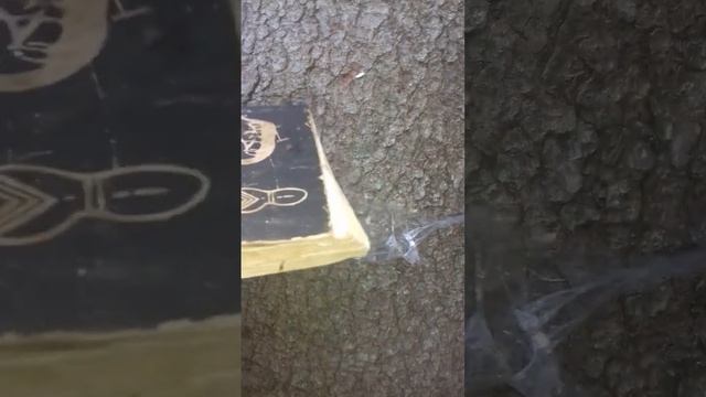 ПОСТРЕЛУШКИ В ЛЕСУ ПНЕВМОПУШКА В ДЕЛЕ смотреть онлайн