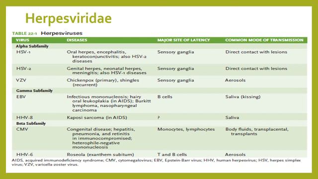 #13DNA VIrus смотреть онлайн