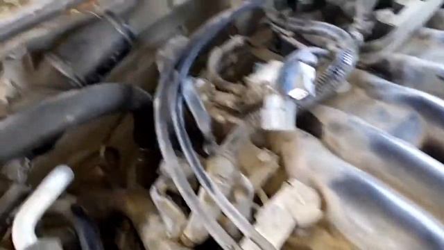 Cómo cambiar bujías nissan maxima смотреть онлайн