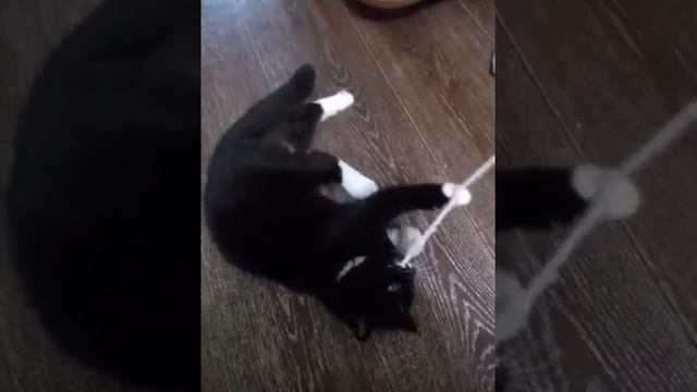 Знакомство с Фимой смотреть онлайн