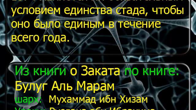 1574 Является ли обязательным условием единства стада, чтобы оно было единым в течение всего года смотреть онлайн