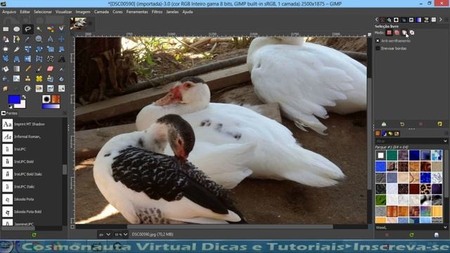 Gimp: Ferramenta de Seleção Livre смотреть онлайн