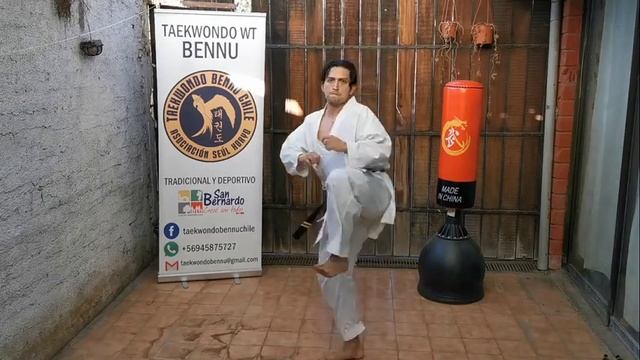 Okinawa Goju Ryu Karate Do - Bennu Chile 27/03/2020 смотреть онлайн