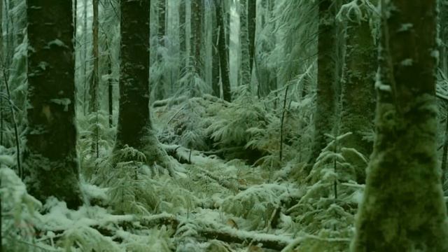 Она же чудовище страшное! смеялась девушка над невестой друга. А услышав ответ жениха зарыдала... смотреть онлайн