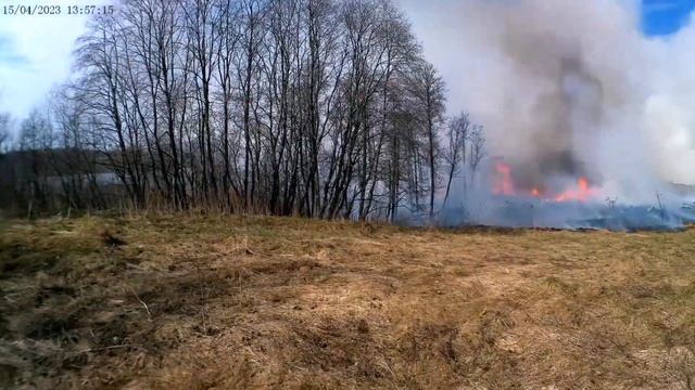 Экспедиция по "медвежьим углам"! смотреть онлайн