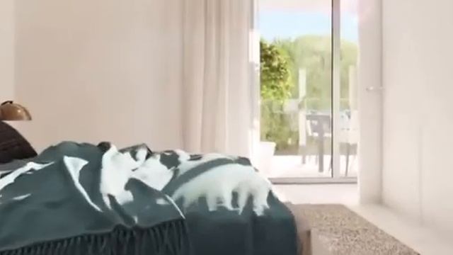 ?Майорка! Новое строительство, престижный район, близко пляж и море, 2 и 3 спальни, от 350 тыс.евро смотреть онлайн