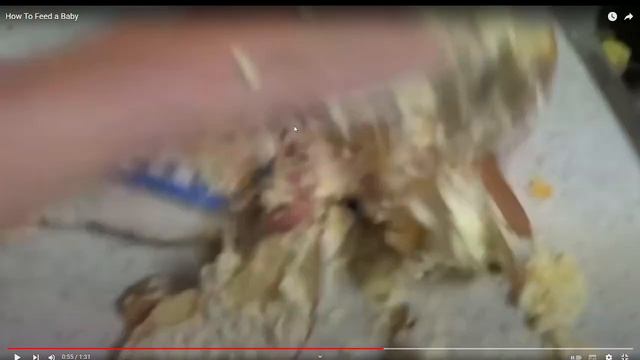 КАК ПОКОРМИТЬ РЕБЕНКА реакция на HowToBasic