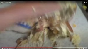 КАК ПОКОРМИТЬ РЕБЕНКА реакция на HowToBasic