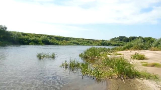 Иван Купала 2022. Рязанская обл. Воспоминания и куча Эмоций! По убывающей серии роликов от Лёхи.. смотреть онлайн