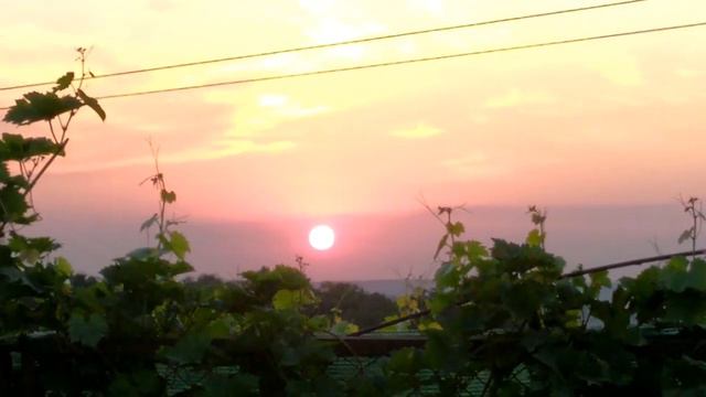 Гром среди ясного неба 1 - 16 серии (сериал 2021)