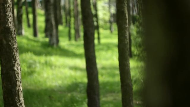 Canon 550D ML - ATB - Take Me Over (Петербург - Поклонная гора)