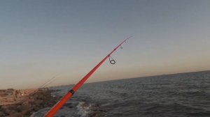 Вечерний джиг на камбалу (калкана). Бердянск. Азовское море 15 09 2020