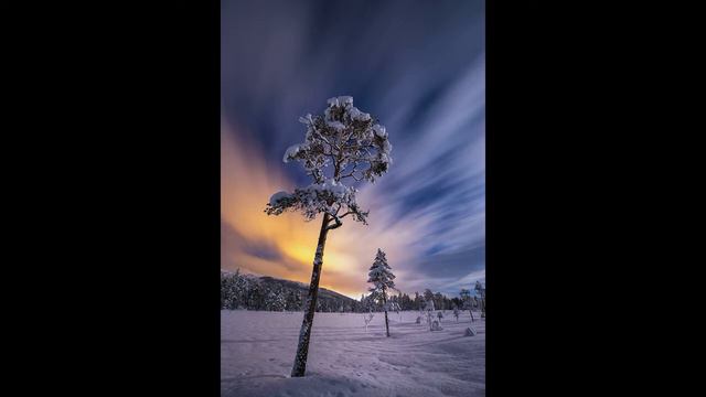 Дмитрий TV. Клип "По снегу, летящему с неба". На песню Дмитрия Певцова. смотреть онлайн