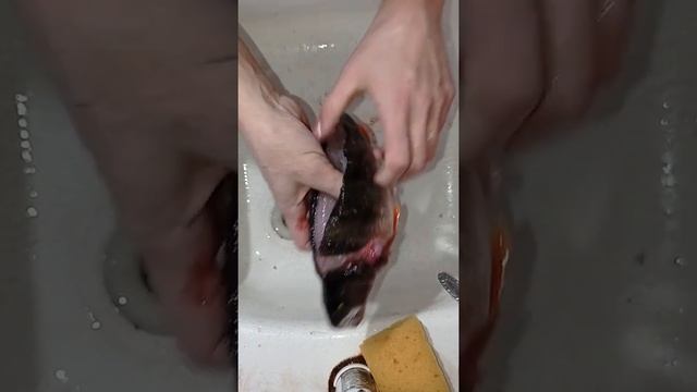 как быстро почистить окуня смотреть онлайн