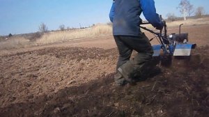 Боронование мотоблоком.