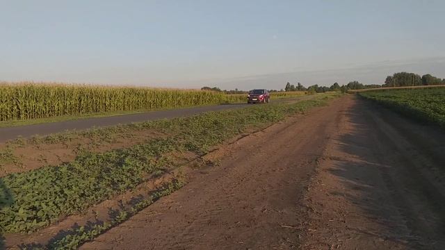 Подкрасил колеса на Toyota RAV4 2019 смотреть онлайн