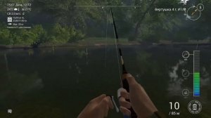 Американская сельдь и сазан на реке Нейеррин Fishing planet