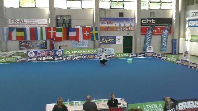 OEC 2019 Ilona Trepova And Rottweiler Masha