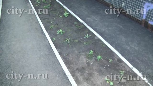 Мэр Новокузнецка проинспектировал состояние дворов и дорог города смотреть онлайн