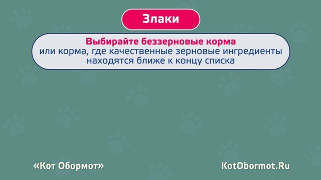 Как правильно выбрать корм для кошки: учимся читать состав смотреть онлайн