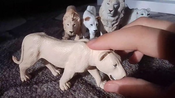 все мои львы. обзор на мой прайд