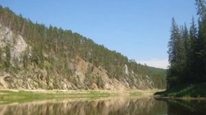 Закон тайги