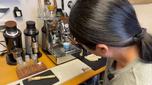 Turin DF83 Coffee Grinder смотреть онлайн