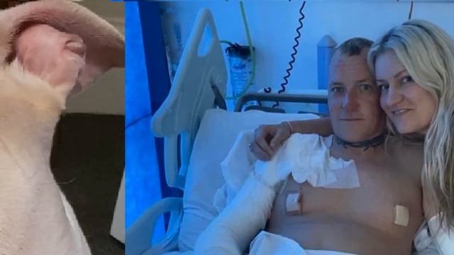 Hero Dog Dies To Save Owners Life | E-Scooter Explosion смотреть онлайн