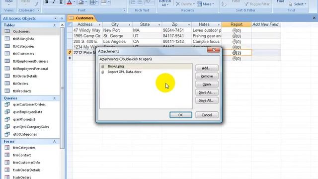 Access 2007 Table: Attachment Field смотреть онлайн