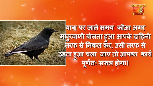 कौए के बताये हुए 14 शुभ संकेत |कौए से जुड़े शकुन-अपशकुन | Crow gestures as per hindu beliefs смотреть онлайн