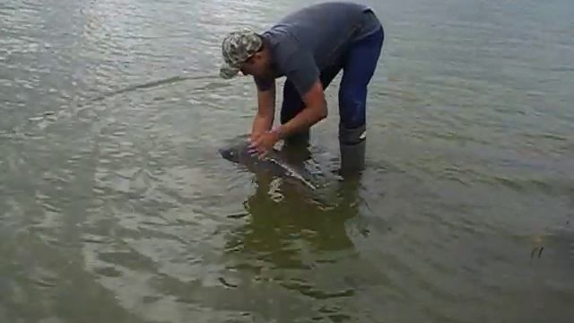 07.08.2018 / РаМеНсКиЙ рЫбХоЗ гЖеЛкА / сПаСиБо За ВоЗвРаТ BIGFISH