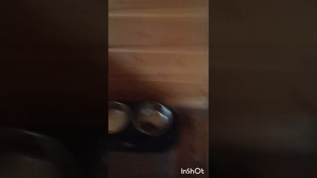 как мы с Настей проводим время? смотреть онлайн